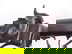 item-209939528=14