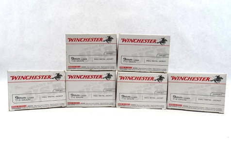(600) Winchester 9mm Luger Cartridges: 115 Gr. FMJ 