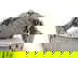item-210623321=4