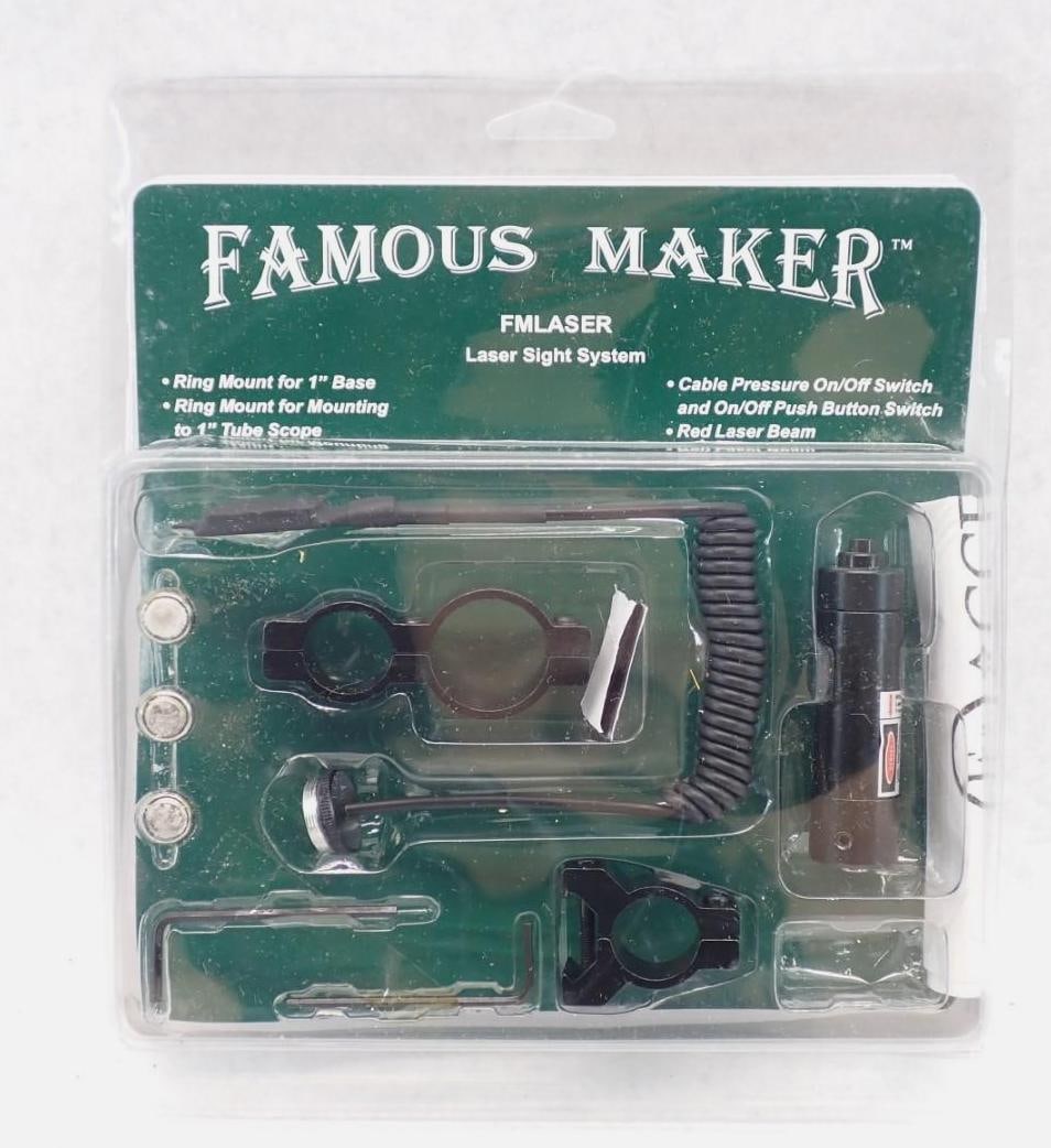 Famous Maker FM Laser Light System (1 of 4)