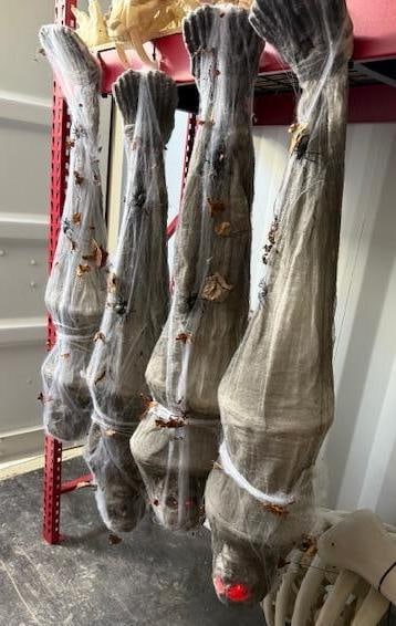 (4) Hanging Spider Webbed Skeletons Glowing Eyes: battery operated