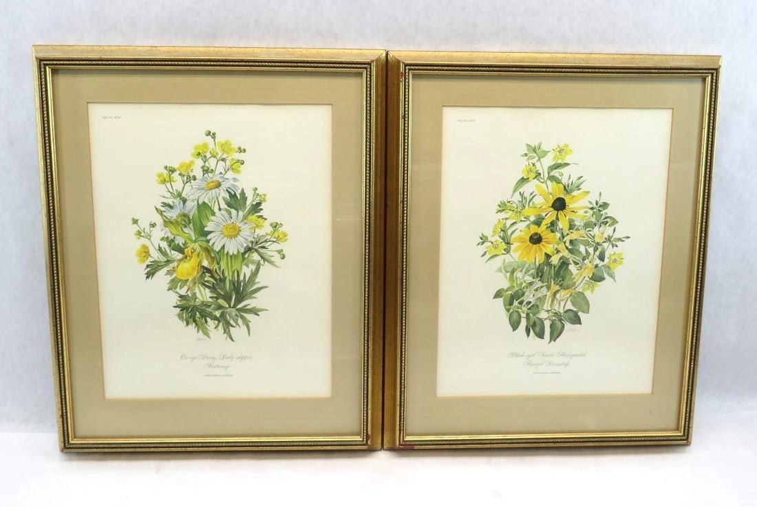 Pair of Anne Ophelia Dowden Botanical Lithographs (1 of 9)