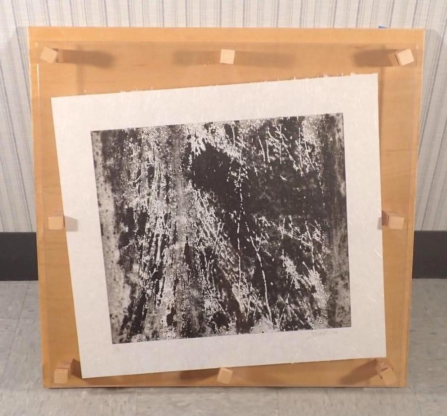 Fran Bull India Ink Original Print On Linen: "Rastros 6", 1/5, signed lower right, 2006, 25" x 23" linen, 30 1/4" x 31 1/4" framed