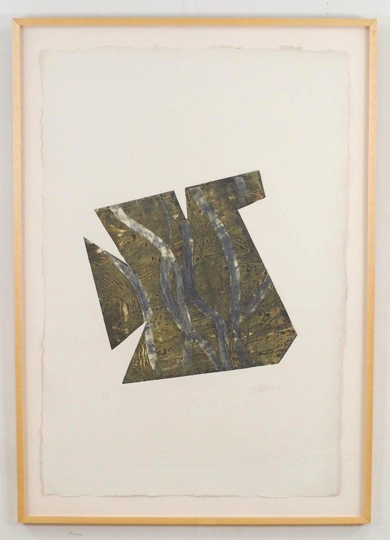 Fran Bull Print on Pressed Paper: "Trozos 2", 1/7, SLR, "F Bull '08", 54 5/8" x 38 5/8" Framed 