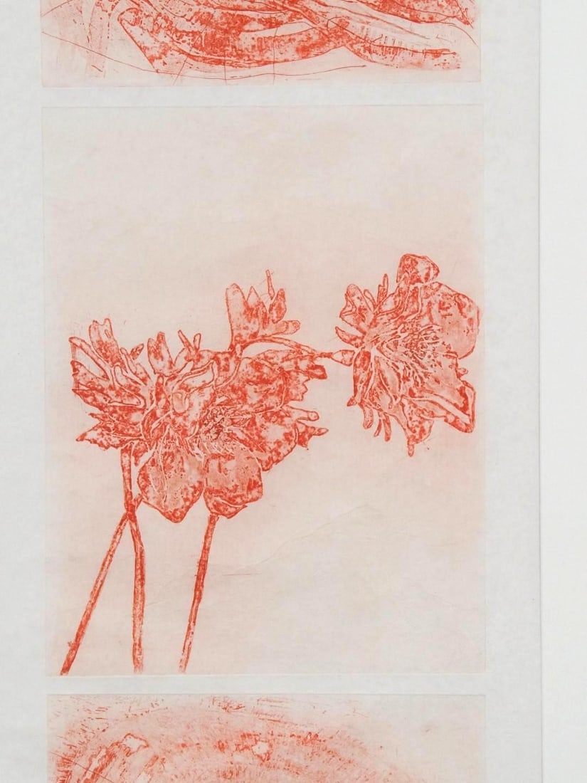 Fran Bull Print on Artist Paper - 4