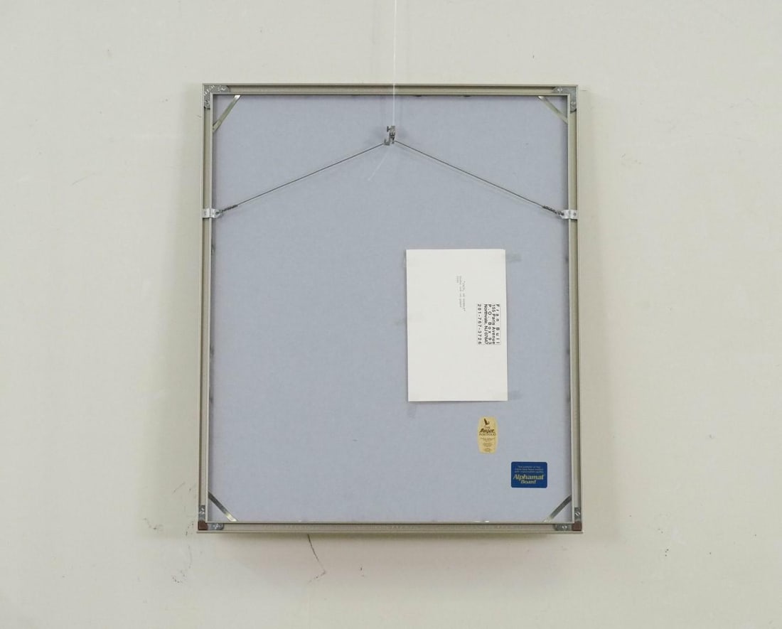 Fran Bull India Ink on Paper - 7