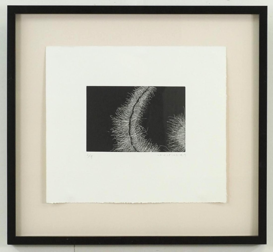 Joan Cruspinera Print on Pressed Paper: 2/15, SLR, "Cruspinera", 23 1/4" x 25 1/4" Framed 