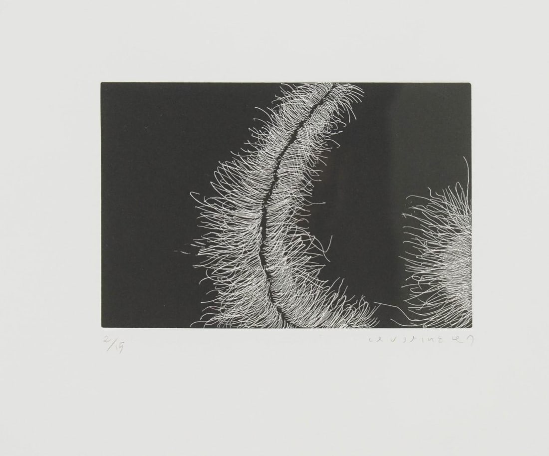 Joan Cruspinera Print on Pressed Paper - 3