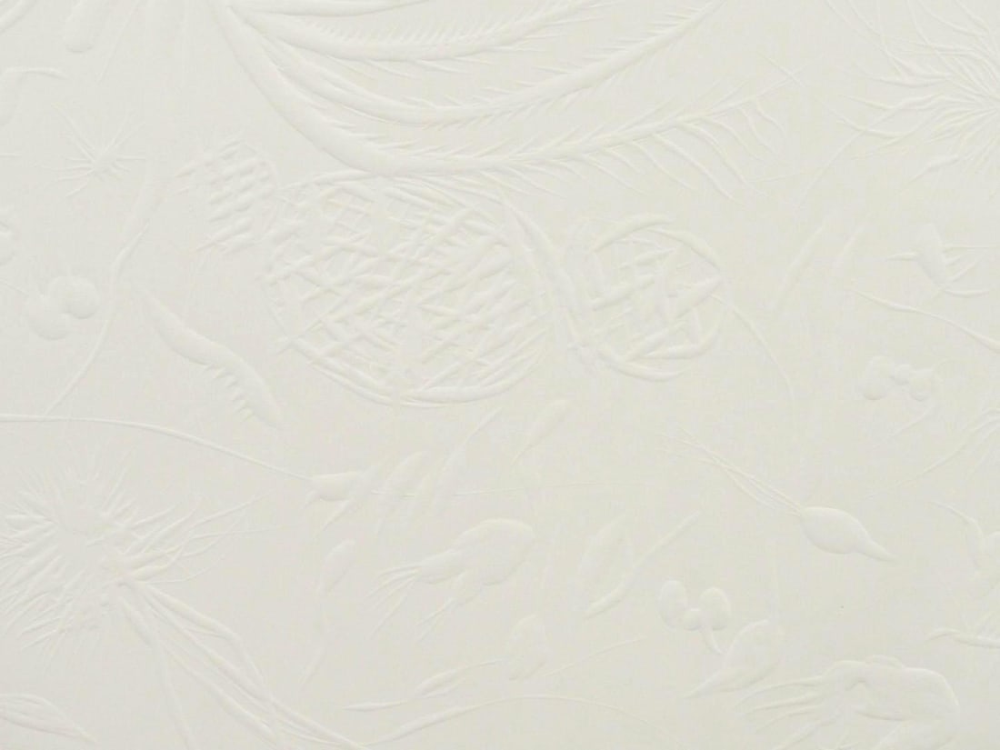 Joan Cruspinera Pressed Artist Paper - 5