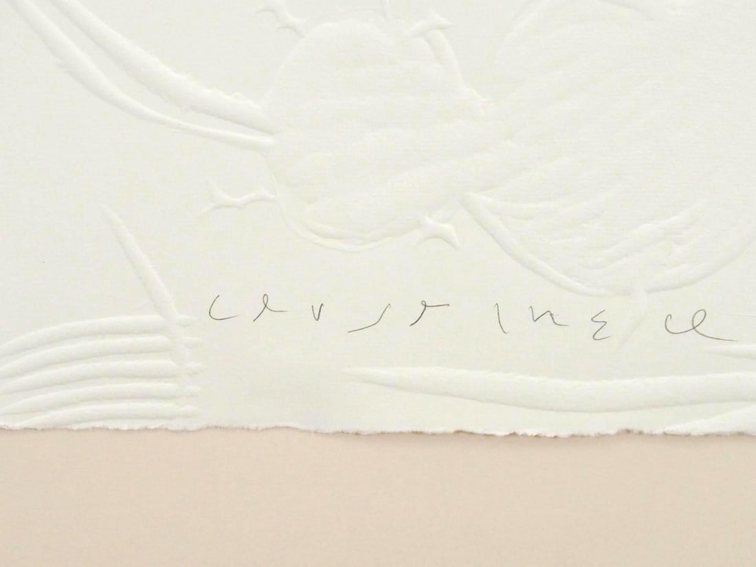 Joan Cruspinera Pressed Artist Paper - 6