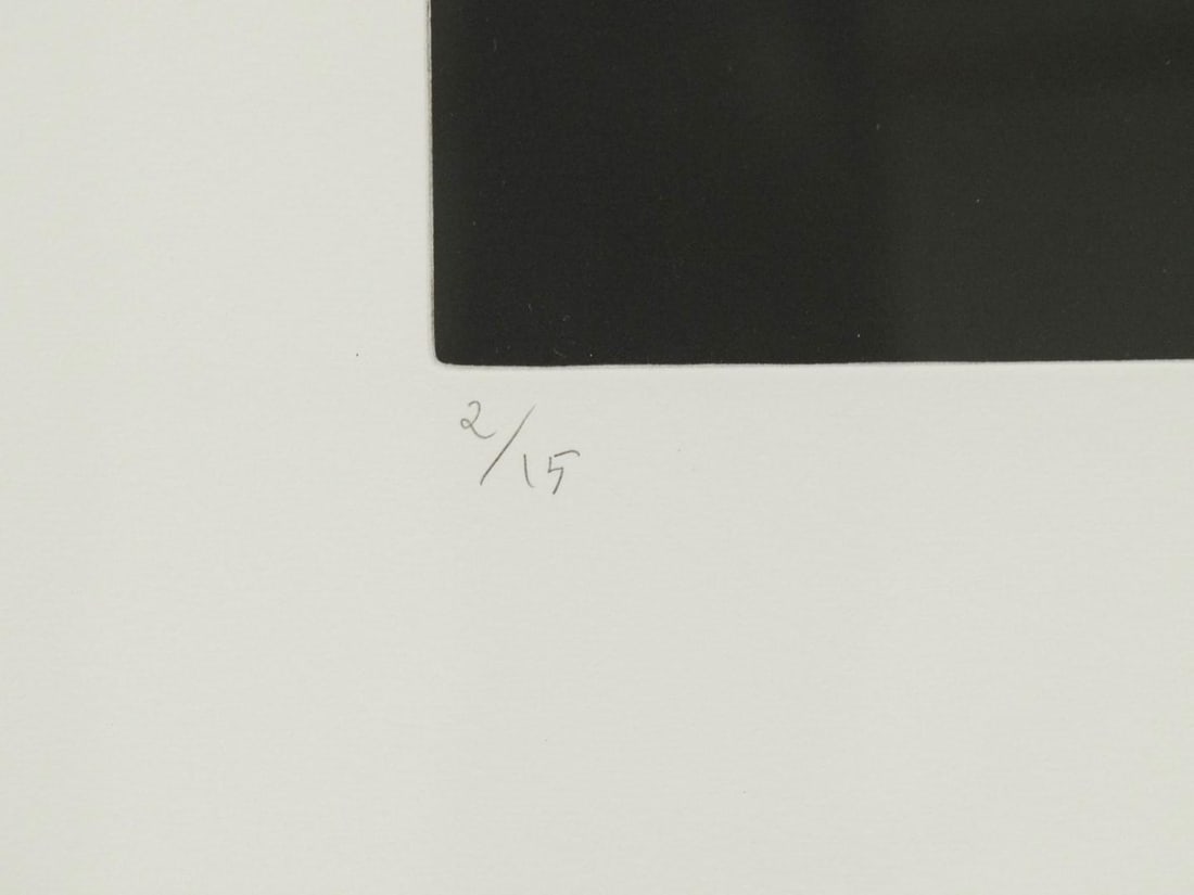 Joan Cruspinera Print on Pressed Paper - 5