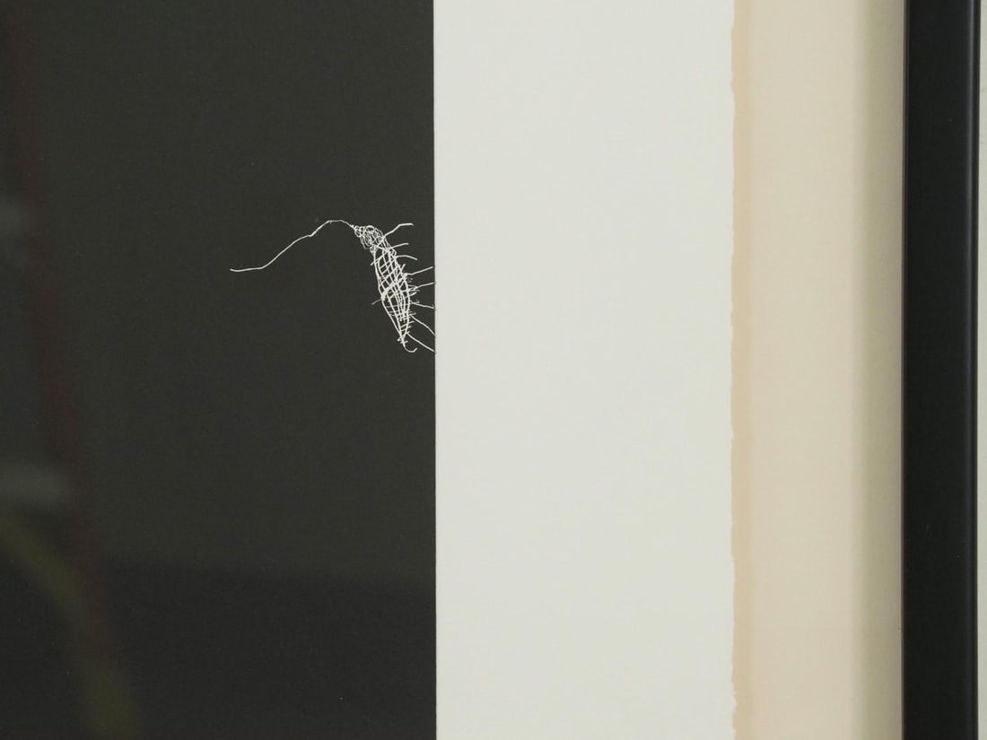 Joan Cruspinera Print on Pressed Paper - 3