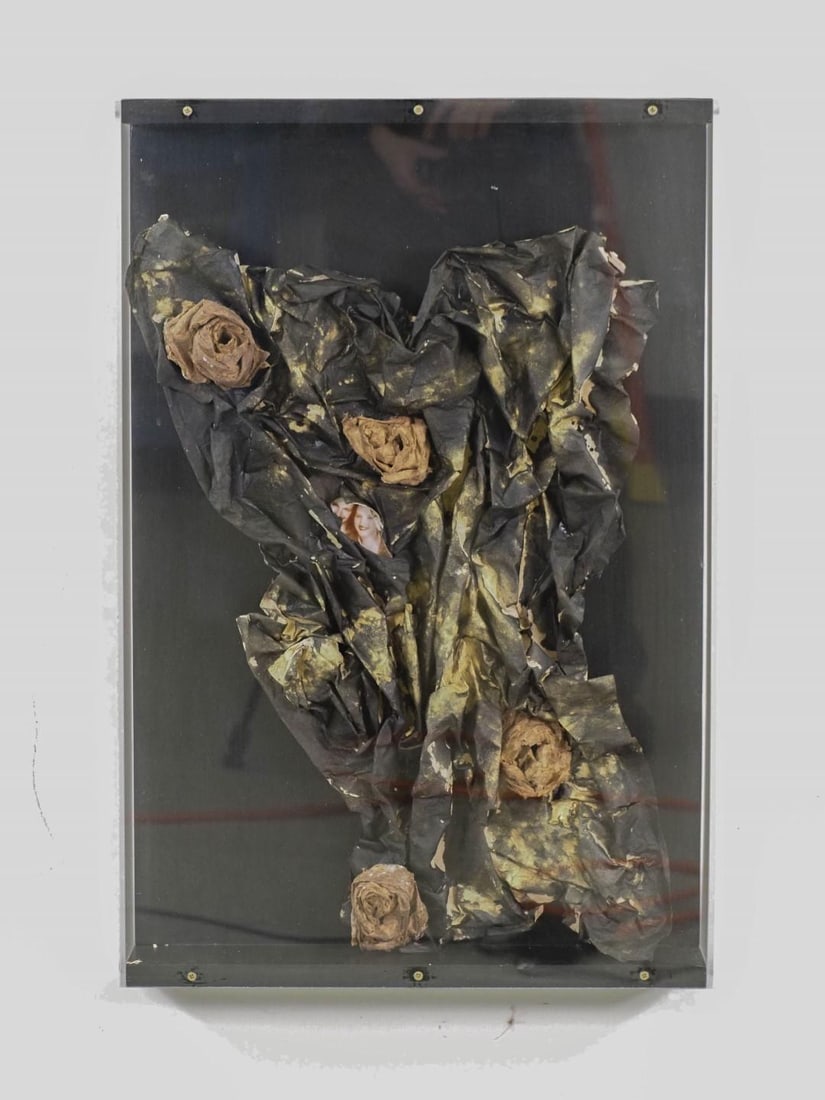 Fran Bull Wall Sculpture in Shadowbox - 4