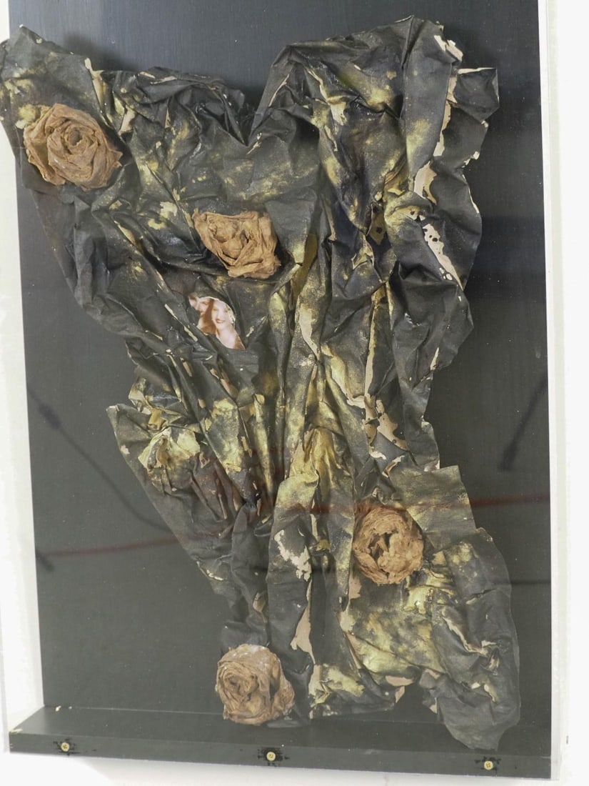 Fran Bull Wall Sculpture in Shadowbox - 7