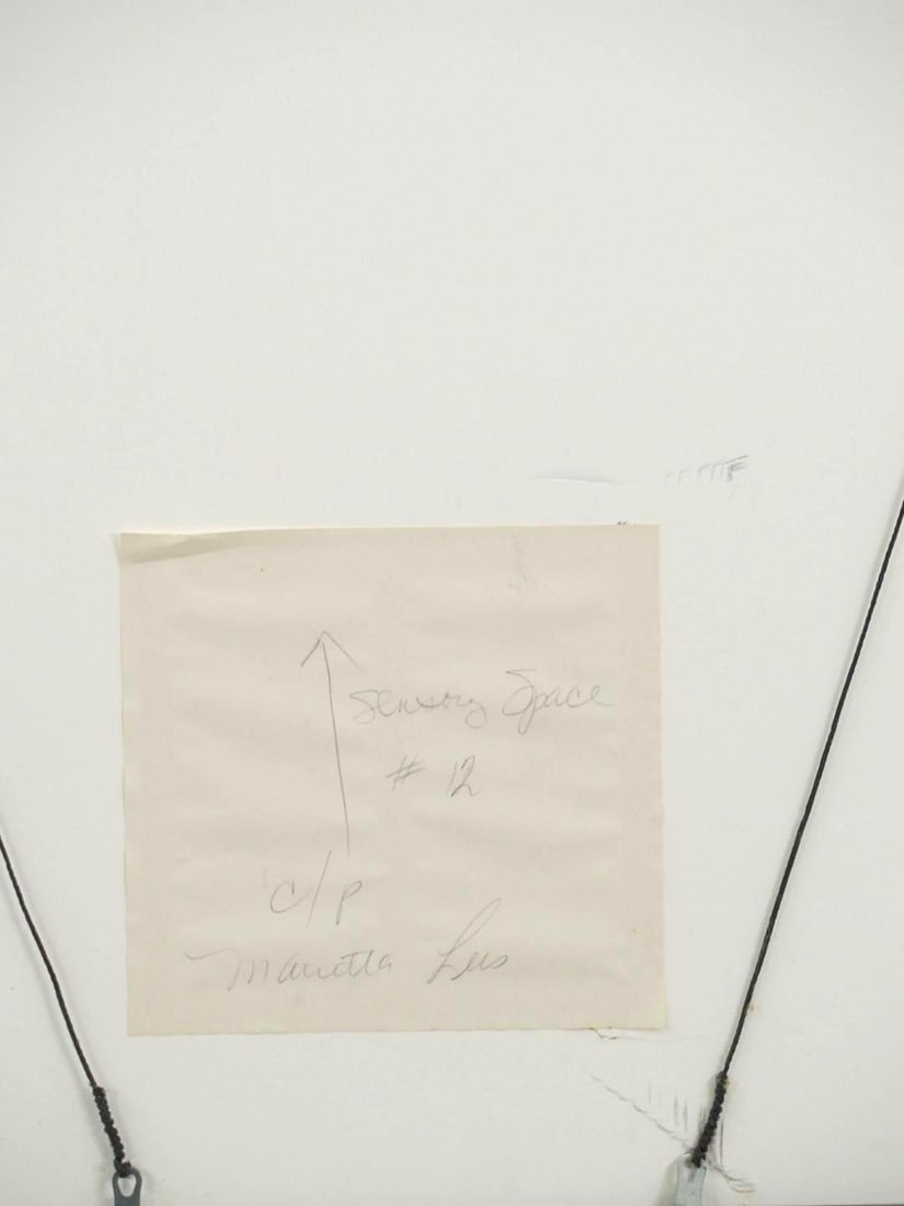 Marietta Patricia Leis Graphite on Pressed Paper - 7