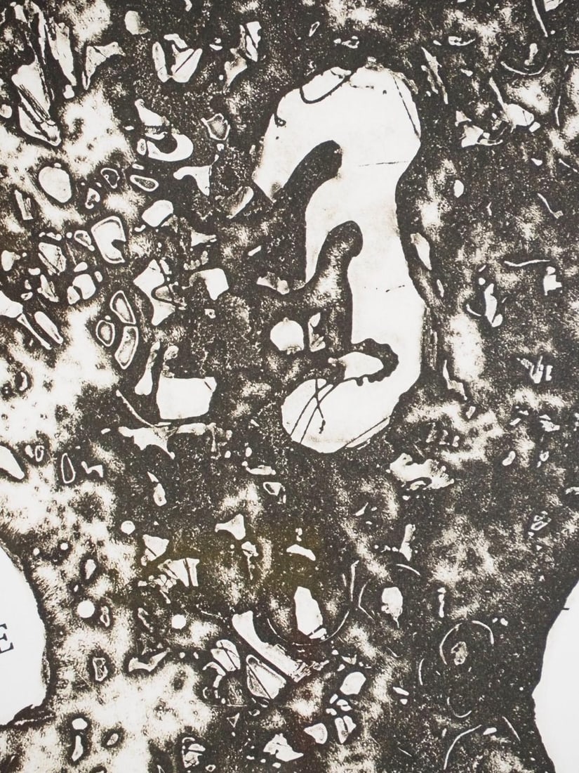 Fran Bull Enlarged Photo of Collage on Paper - 3