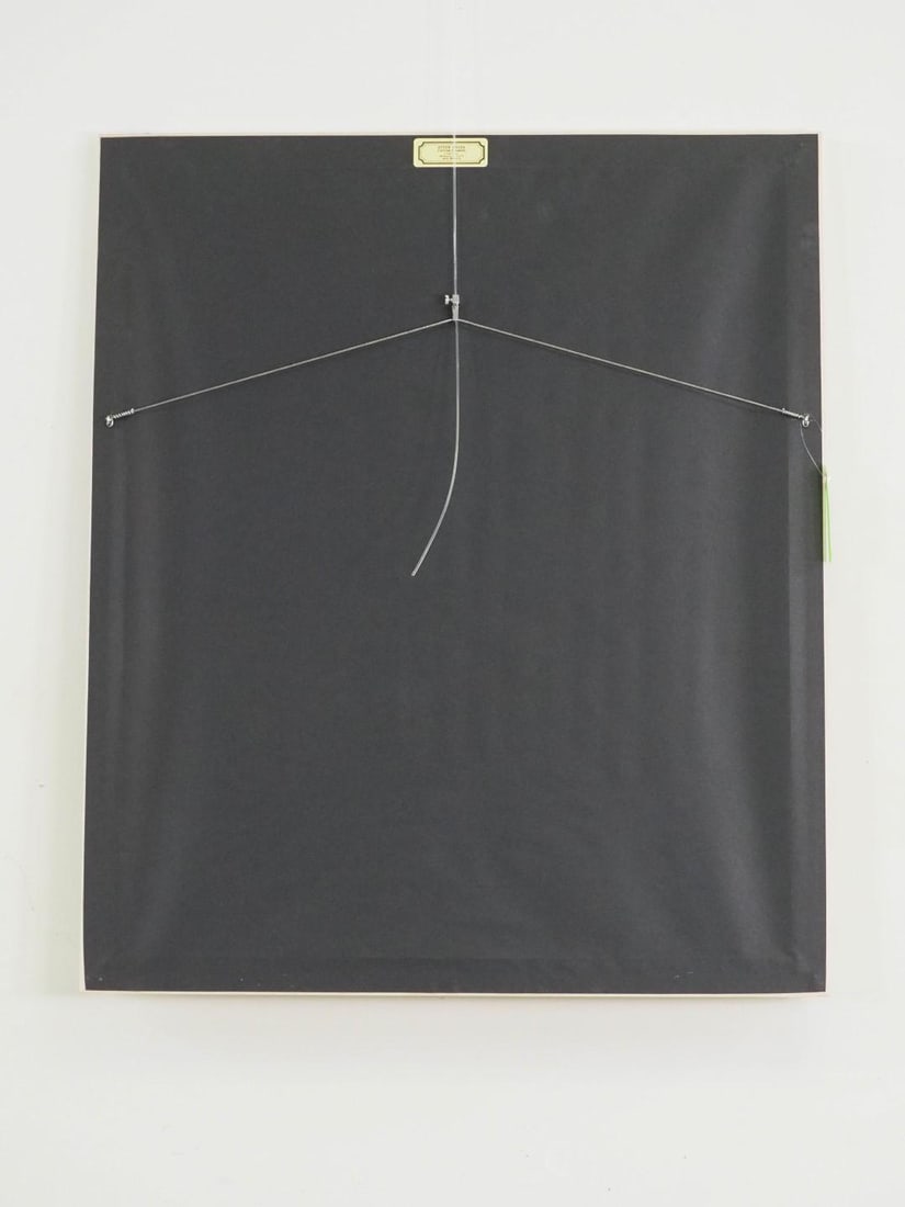 Fran Bull Prints on Pressed Paper - 7