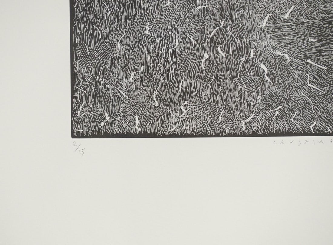 Joan Cruspinera Print on Pressed Paper - 8