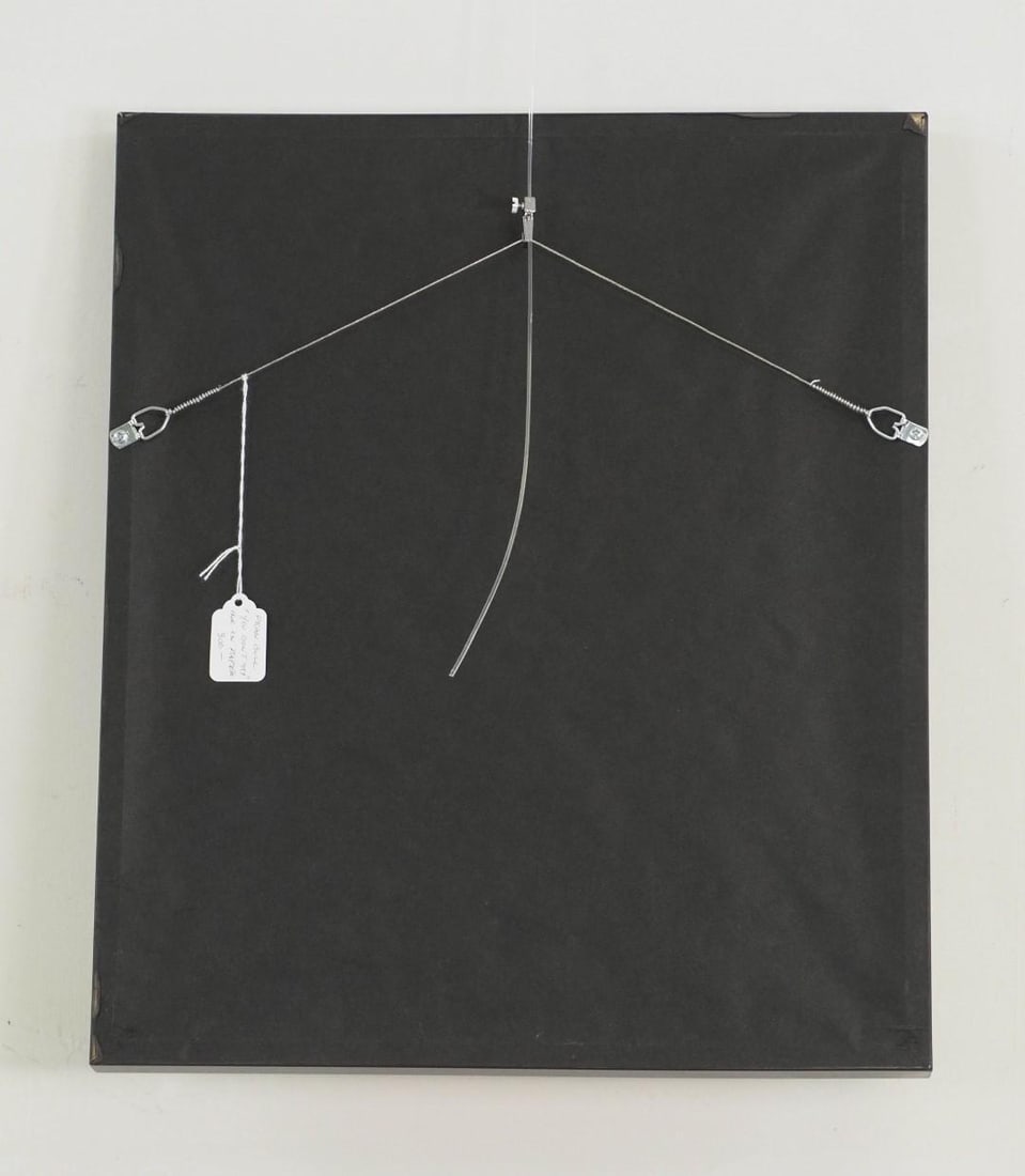 Fran Bull India Ink on Paper - 5