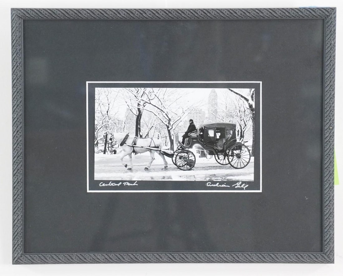 Framed Black and White Photo: Horse and Carriage in Central Park, NY, SLR "?,Gill", 12" x 15" Framed 