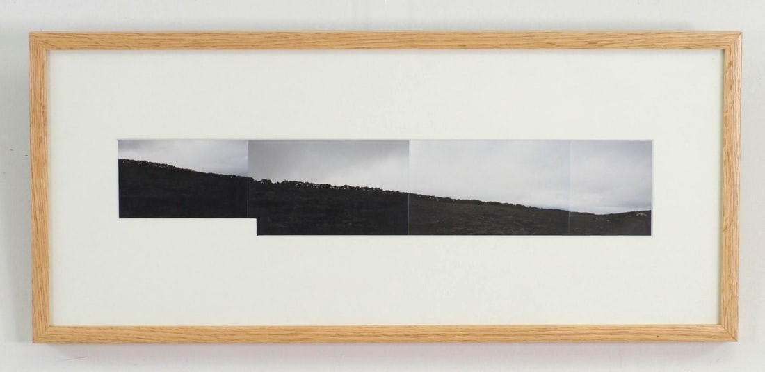 Color Photograph Landscape Collage - 2