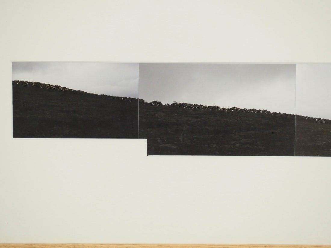 Color Photograph Landscape Collage - 3