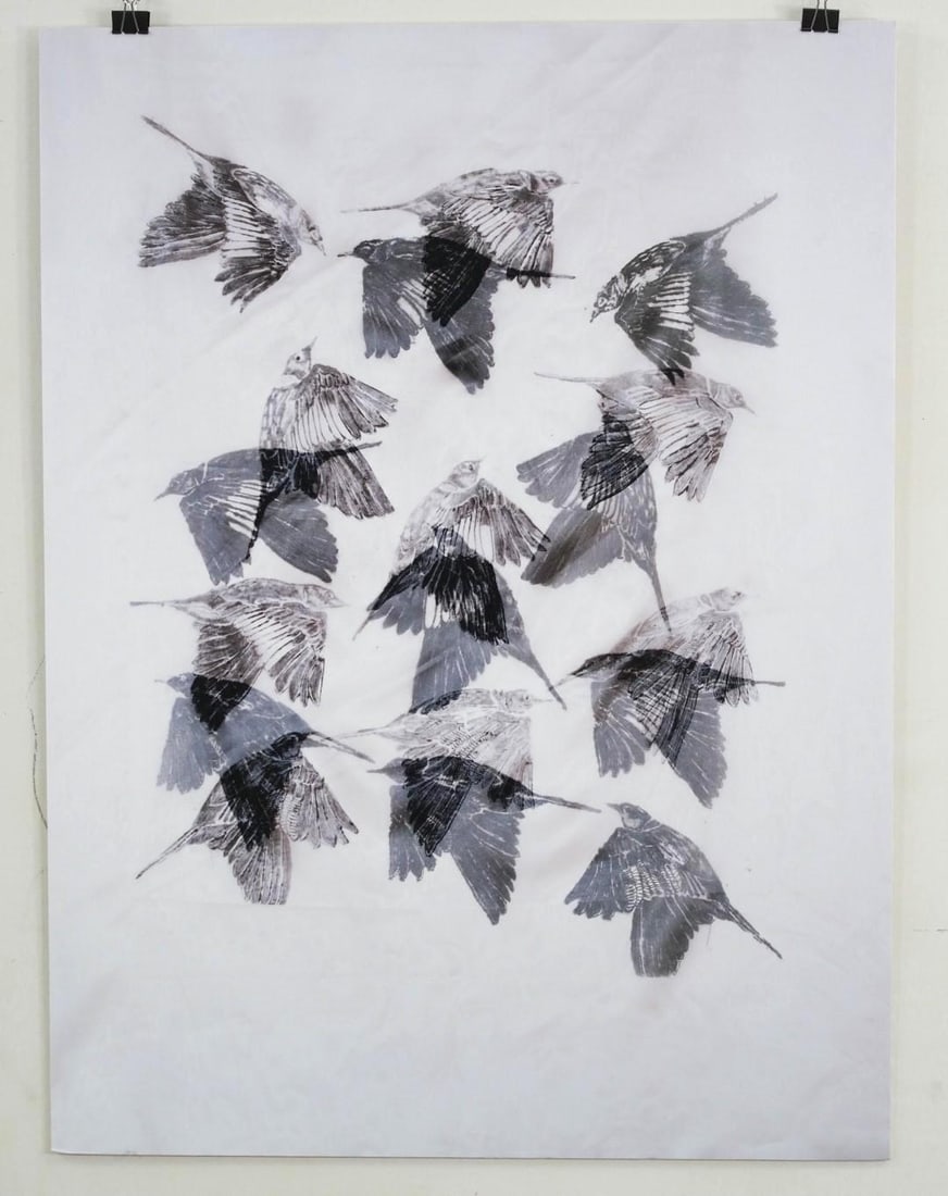 Photographic Reproduction on Foam Board: of Fran Bull's "A Moire of Larks", 40" x 30" 