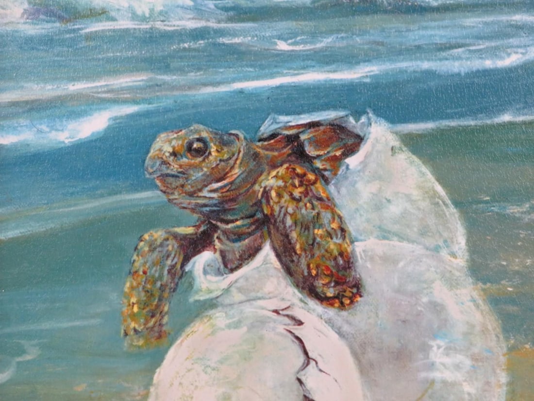 Print of Sea Turtle - 4