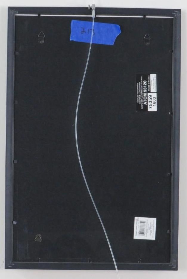 Sean Carlson Print of Bob Marley "Splatter" Portrait - 5