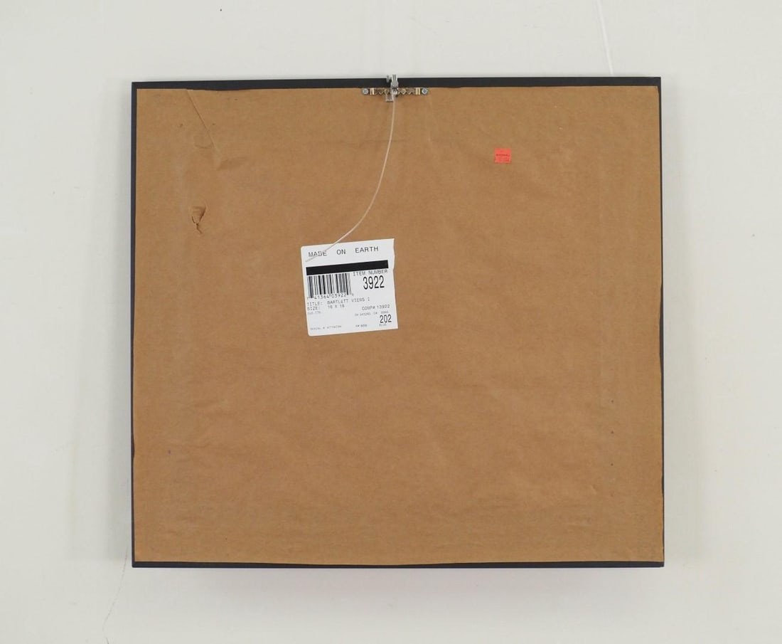 W.H Bartlett "Saratoga Lake" Print on Paper - 5