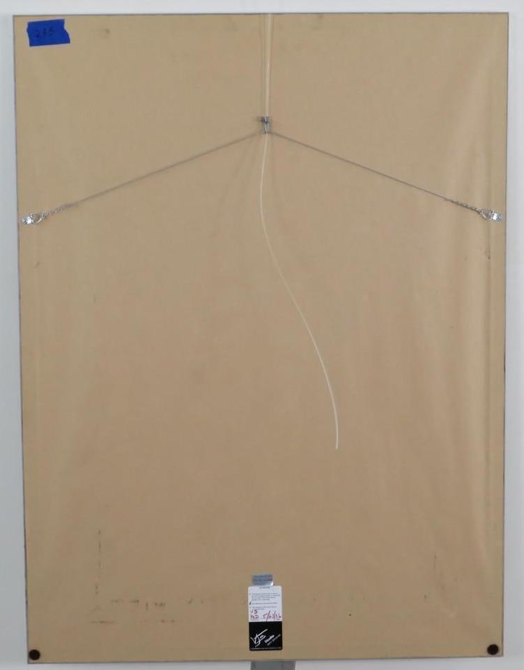 Photo by Mitchell Funk - 5