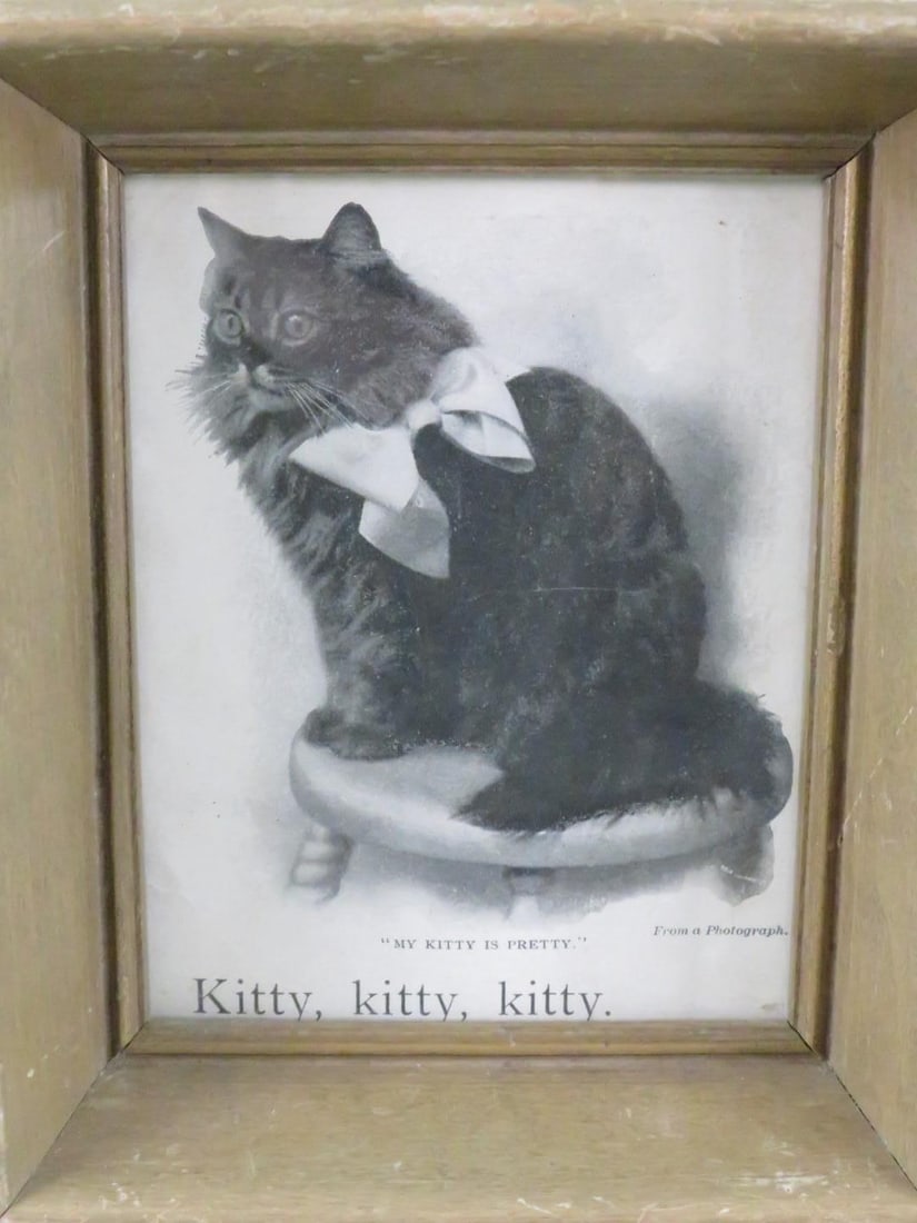 "My Kitty is Pretty" Print on Paper - 5