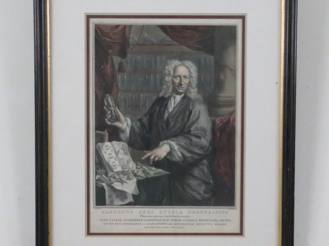 Framed Etching of Pharmacist - 2