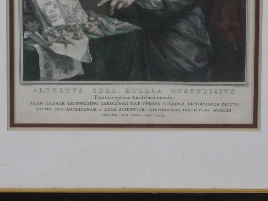 Framed Etching of Pharmacist - 3