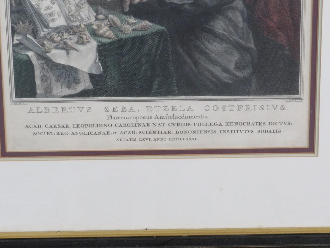 Framed Etching of Pharmacist - 6