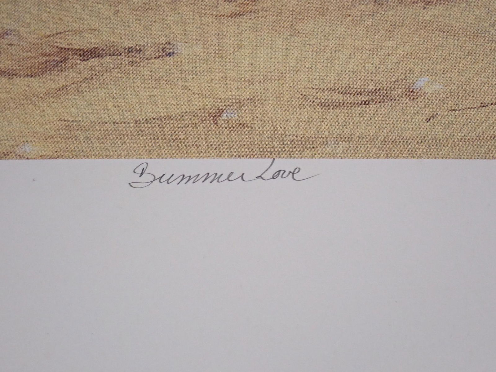 (13) Prints on Paper & (1) Print on Artist Board - 4