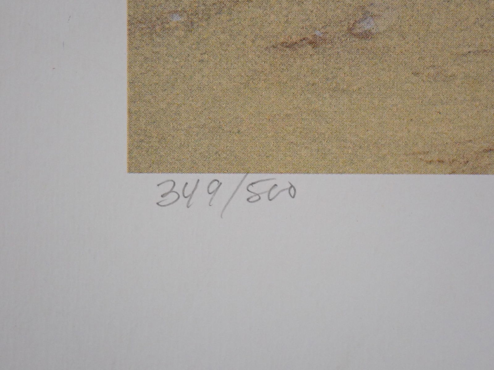 (13) Prints on Paper & (1) Print on Artist Board - 5