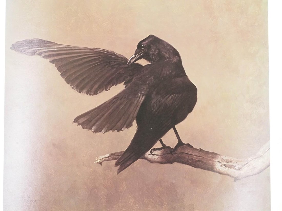 (13) Prints on Paper & (1) Print on Artist Board - 8