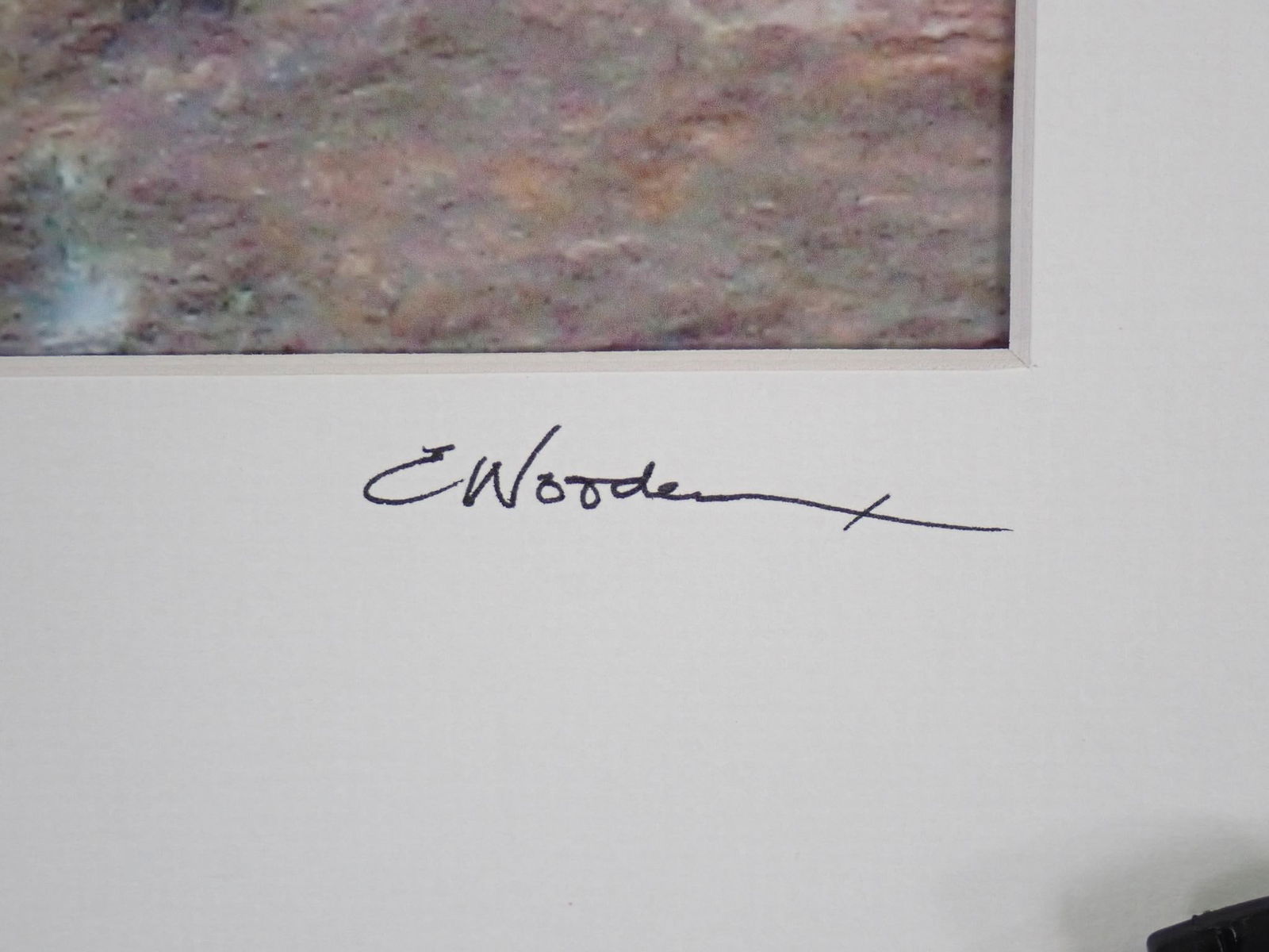 Elisabeth Wooden "Fox At Spruce" Color Photograph - 4