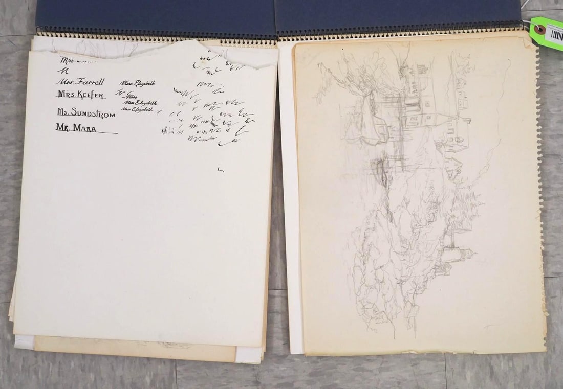 (2) Johnstone Sketchbooks of Pencil & Pen & Ink Drawings - 3