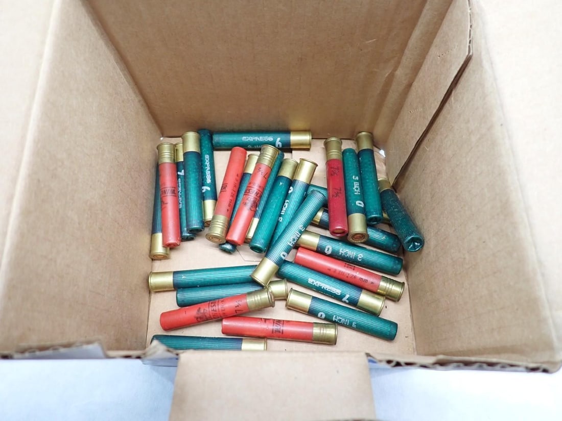 (126) .410 Shotgun Shells - 3