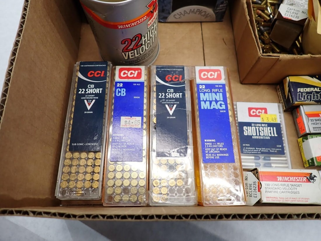 (1600+/-) .22 Cartridges - 4