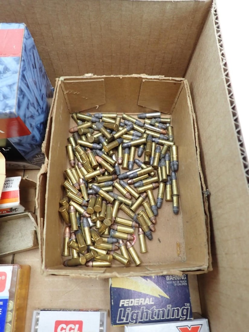 (1600+/-) .22 Cartridges - 6