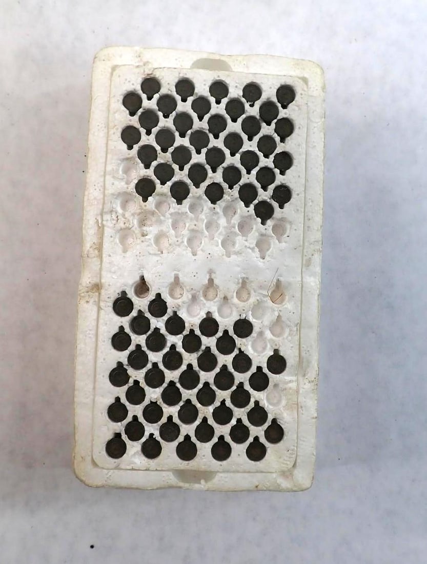 (1400+) .22 Cartridges - 5