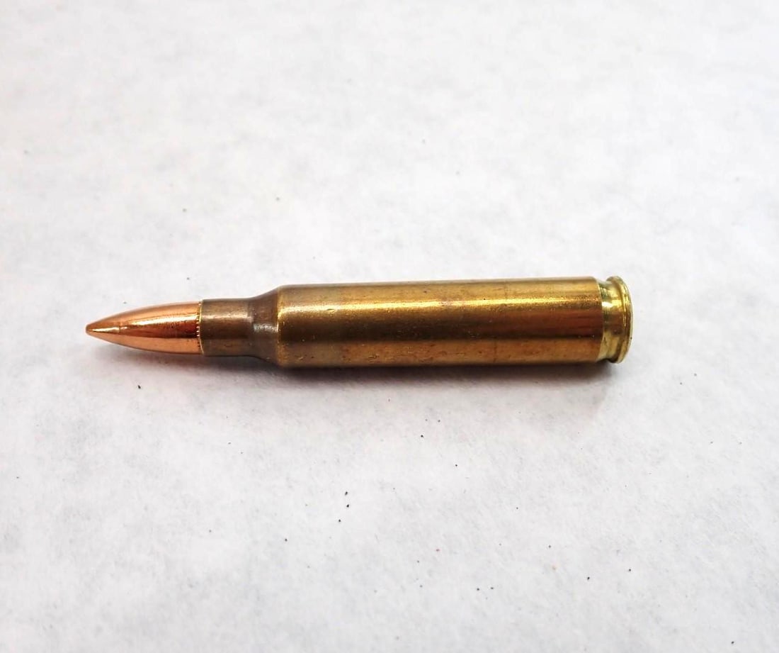 (908) Williams Reloads .223 Cartridges - 3