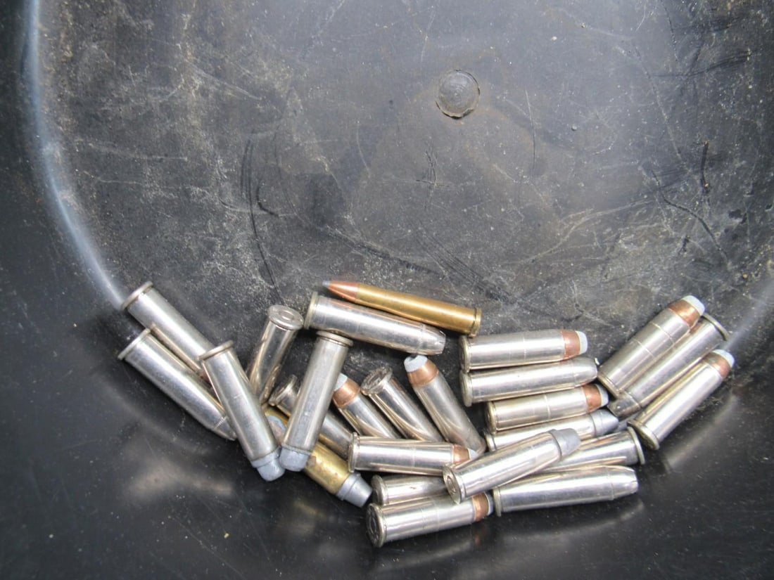 Assorted Ammunition - 10