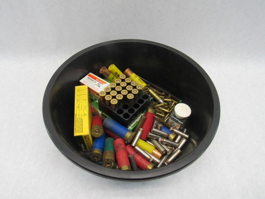Assorted Ammunition - 2
