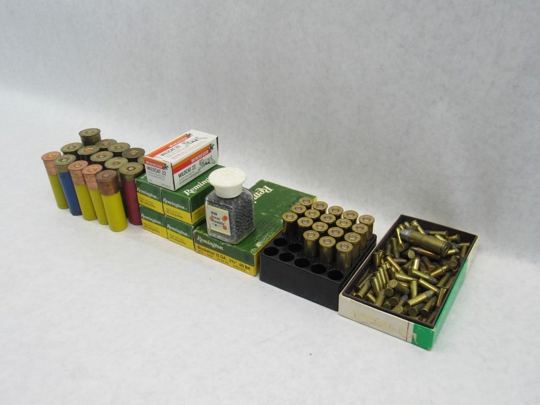 Assorted Ammunition - 4