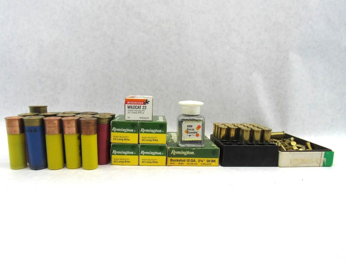 Assorted Ammunition - 5