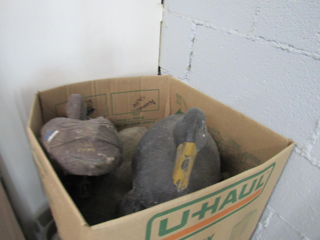 (37) Assorted Duck Decoys - 2